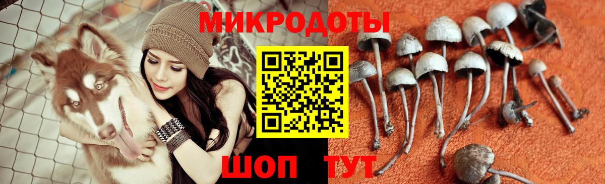 Псилоцибиновые грибы Psilocybine cubensis  Вход с VPN  купить  цена  Заволжье 